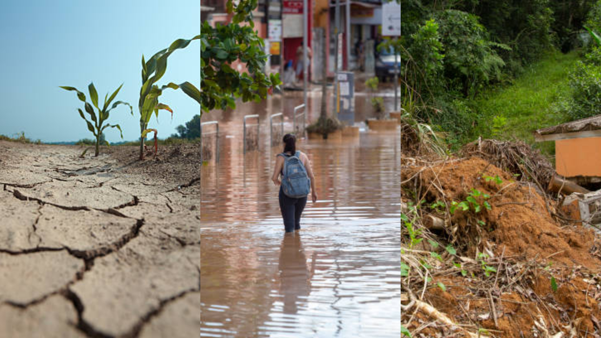 Drought and flooding — Infobae